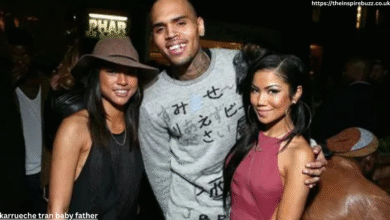karrueche tran baby father
