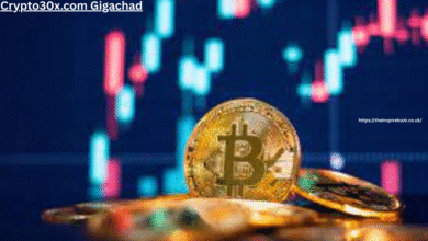 Crypto30x.com Gigachad