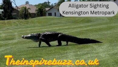 Alligator Sighting Kensington Metropark