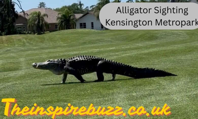 Alligator Sighting Kensington Metropark