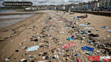 Weymouth Beach Litter