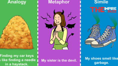 analogy examples