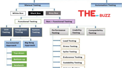 software testing basics