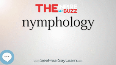nymphology meaning