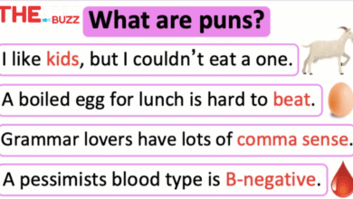 pun examples