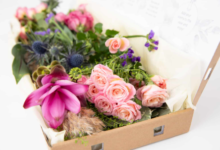 Why Letterbox Flowers Are the Ultimate Modern Gift