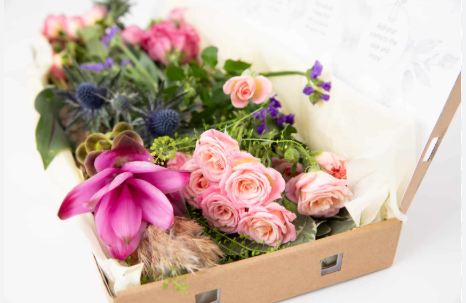 Why Letterbox Flowers Are the Ultimate Modern Gift